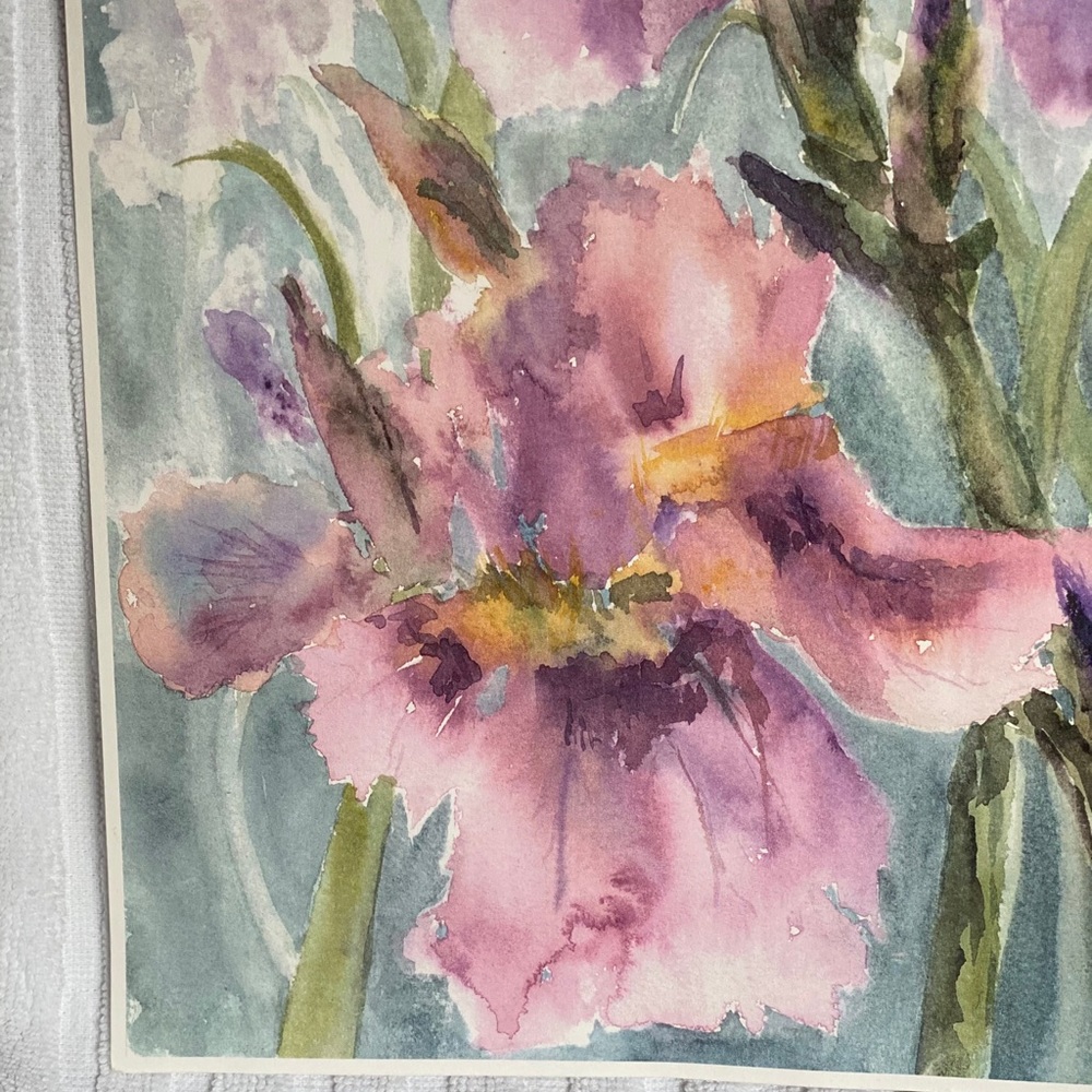 PRINT OF AN ORIGINAL WATERCOLOR IRIS FLORAL LIGHT PAPER LIMITED EDITION SIGNED - Picture 4 of 5